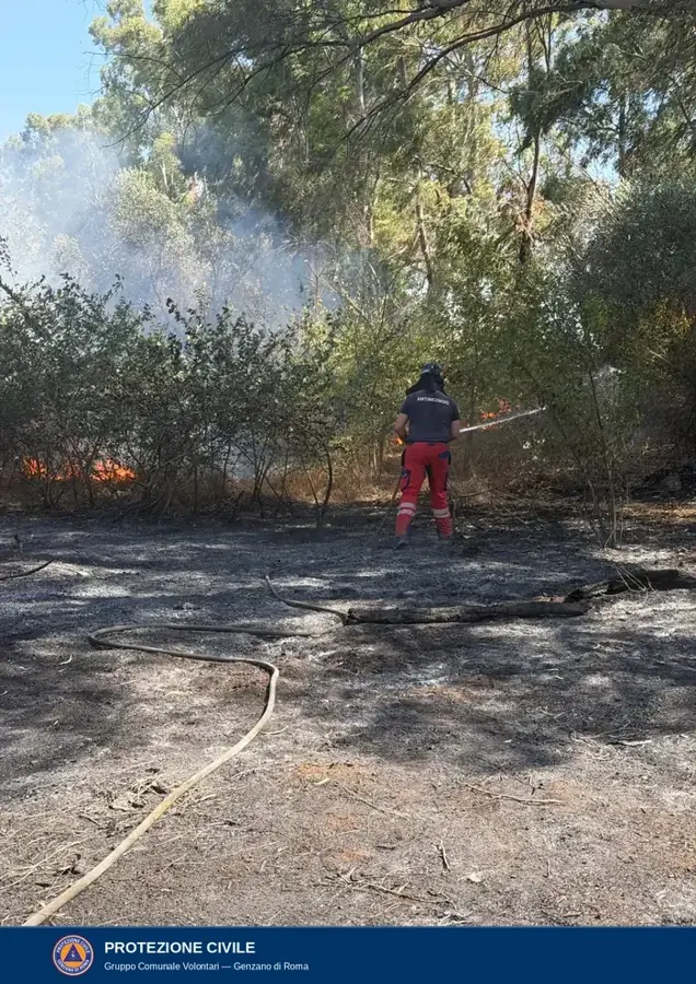 Un operatore in maglietta nera con la scritta Antincendio e pantaloni rossi dirige un getto d'acqua verso alcune fiamme basse nella macchia; a terra la manichetta e il suolo già annerito, sullo sfondo alti eucalipti.