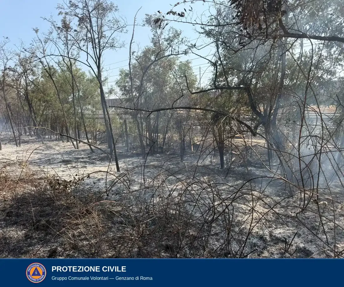 Area percorsa dal fuoco ancora fumante, con arbusti carbonizzati e alberi con le chiome bruciate; dietro il guard rail e la linea ferroviaria.