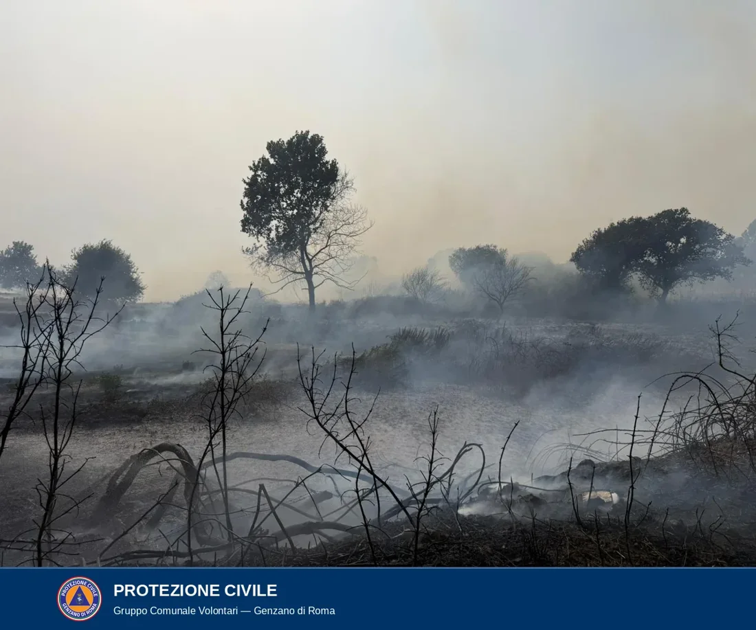 Campo percorso dal fuoco con il terreno grigio di cenere, rami anneriti in primo piano e fumo che sale ancora dal suolo tra gli alberi