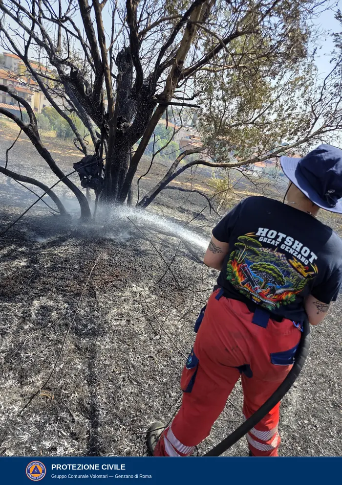 Getto d'acqua diretto verso il tronco annerito di un ulivo in mezzo a un campo percorso dal fuoco; il terreno è coperto di cenere grigia e nera, sullo sfondo palazzine e abitazioni a poche decine di metri