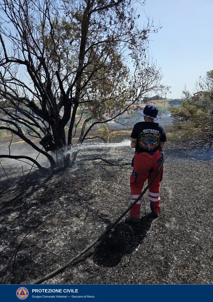 Un volontario di spalle, con cappello a tesa larga blu, maglietta nera con lo stemma Hotshot Great Genzano e pantaloni rossi da intervento, bagna con la lancia il ceppo di un ulivo dai rami completamente carbonizzati; intorno il terreno è nero e fuma ancora, sullo sfondo le case del quartiere